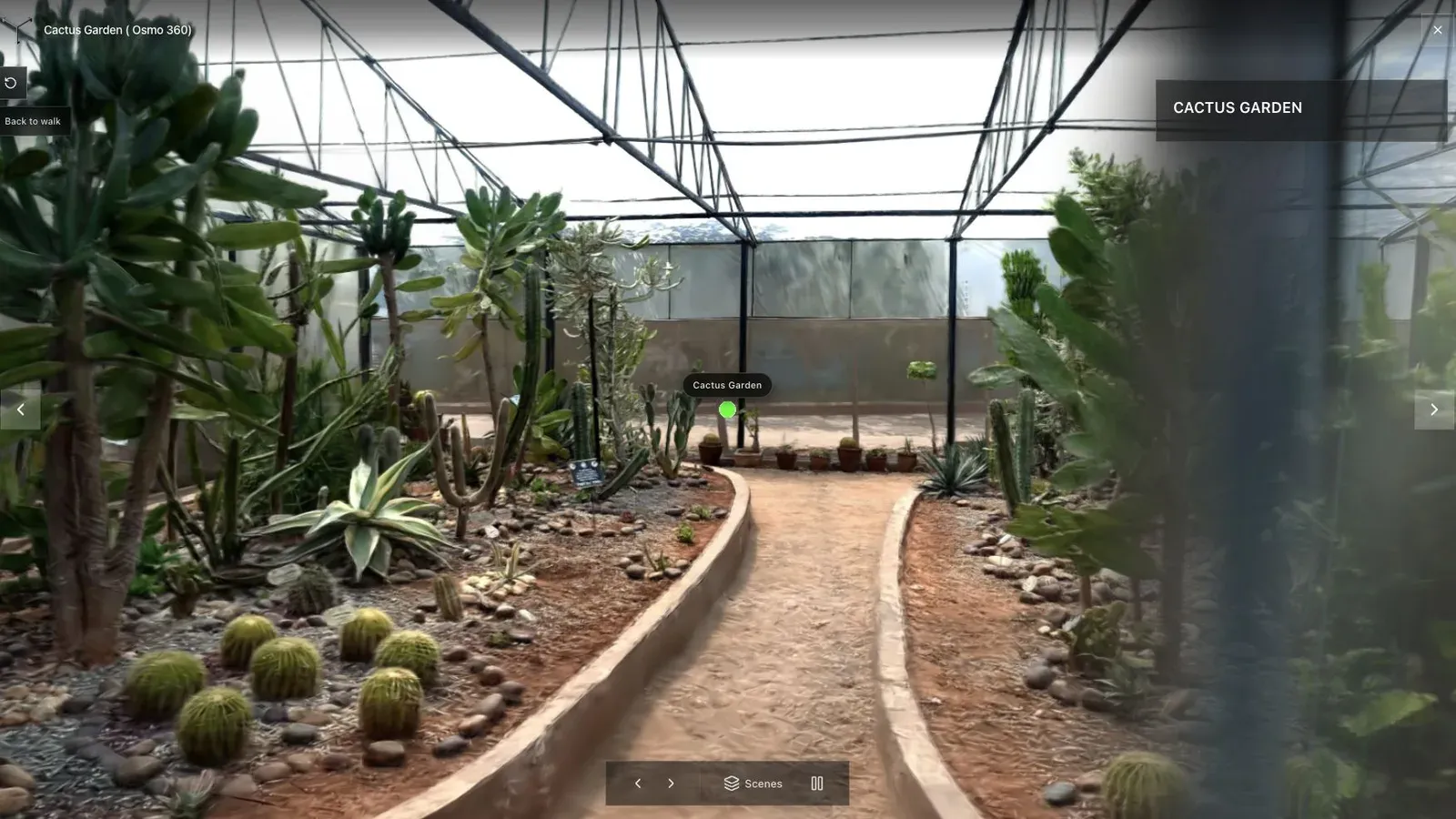 A garden tour makes plantings, paths, and outdoor edges easier to inspect than a flat photo set.